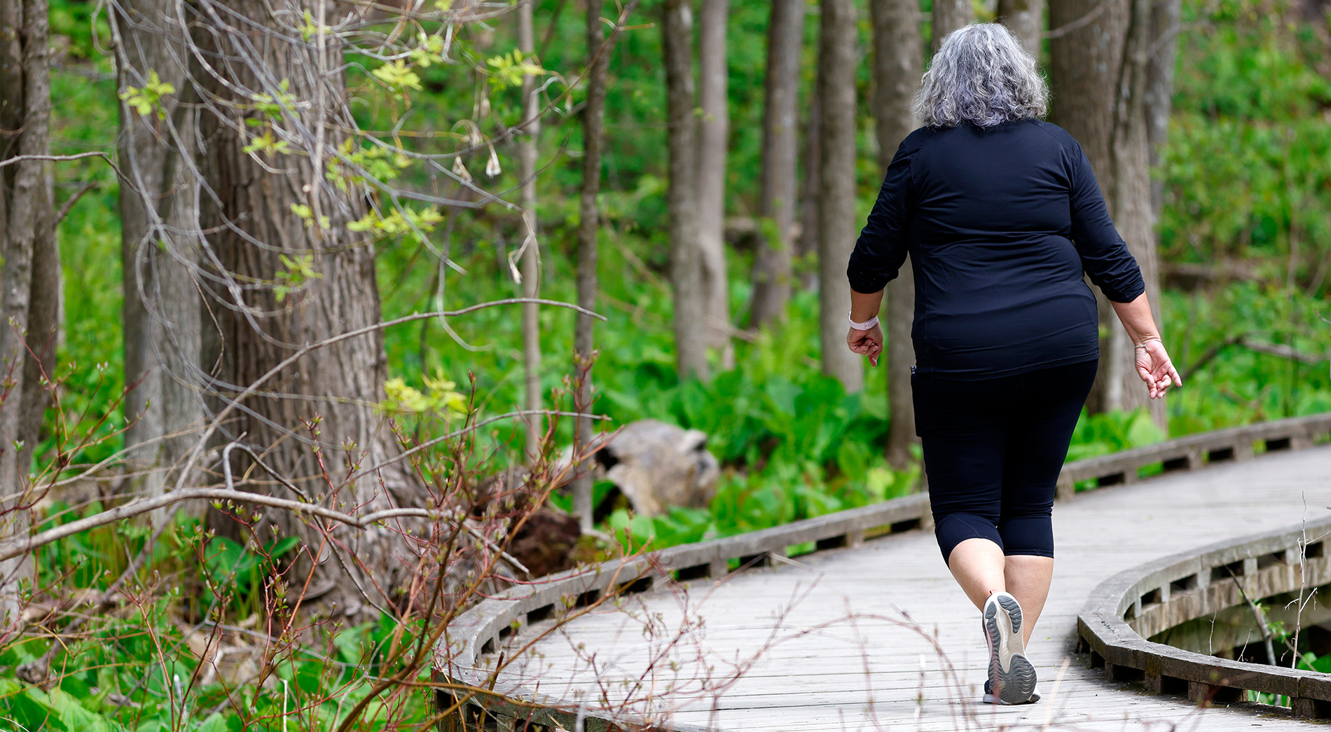 L'obésité de l'adulte